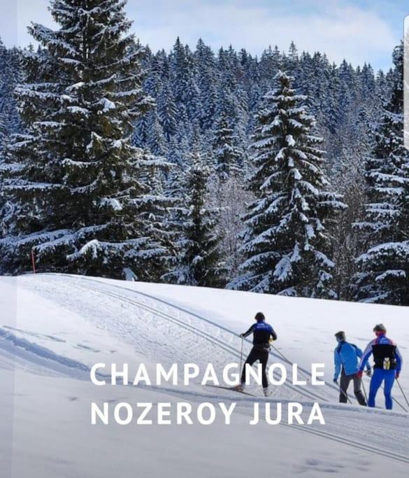 Gite Jura Mina Chalet Au Milieu De La Nature Villa Ney Esterno foto