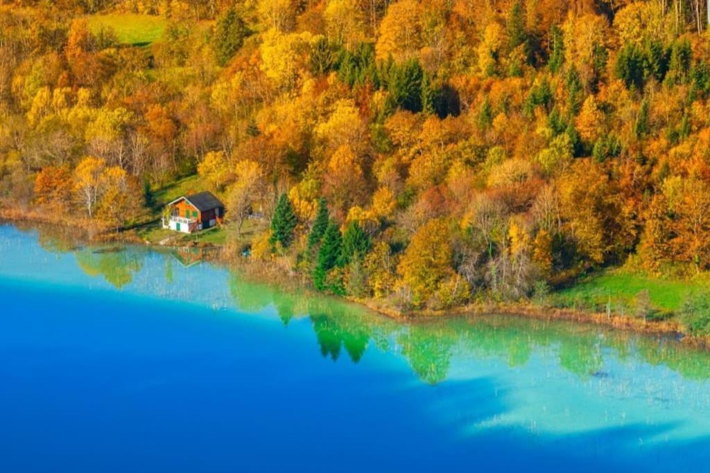 Gite Jura Mina Chalet Au Milieu De La Nature Villa Ney Esterno foto
