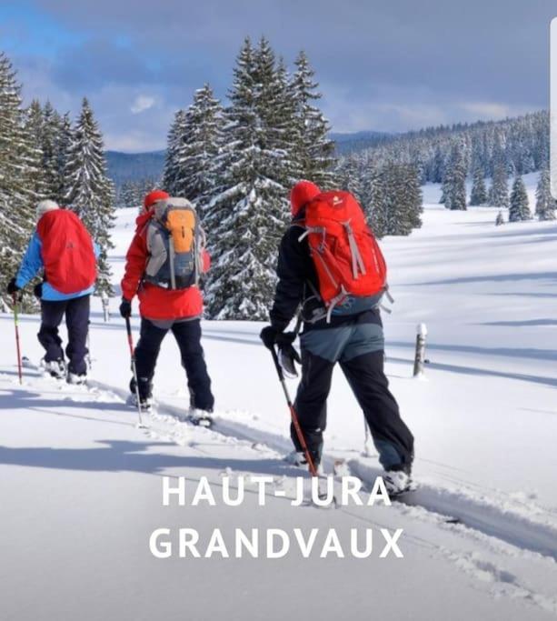 Gite Jura Mina Chalet Au Milieu De La Nature Villa Ney Esterno foto